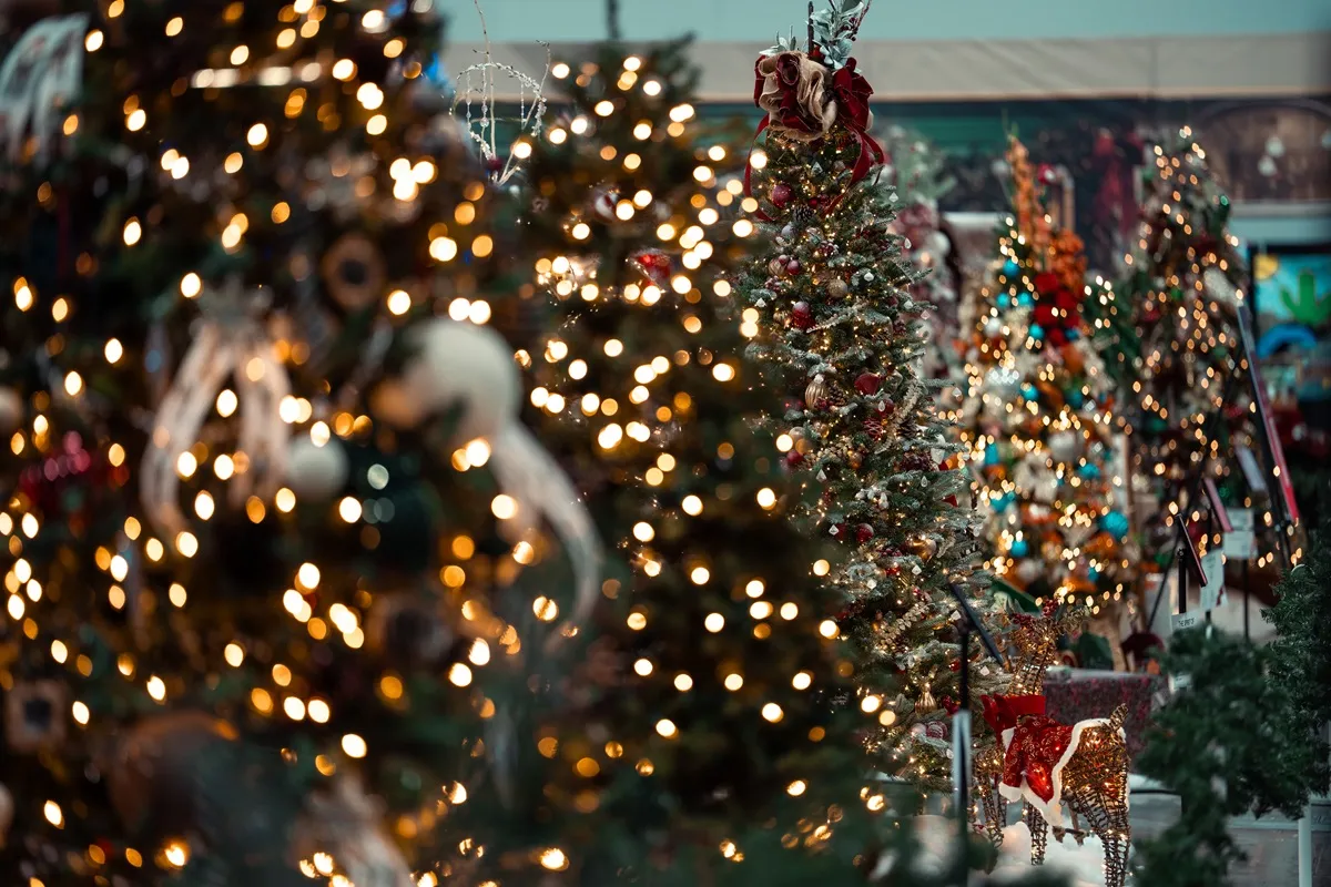 Jubilee of Trees