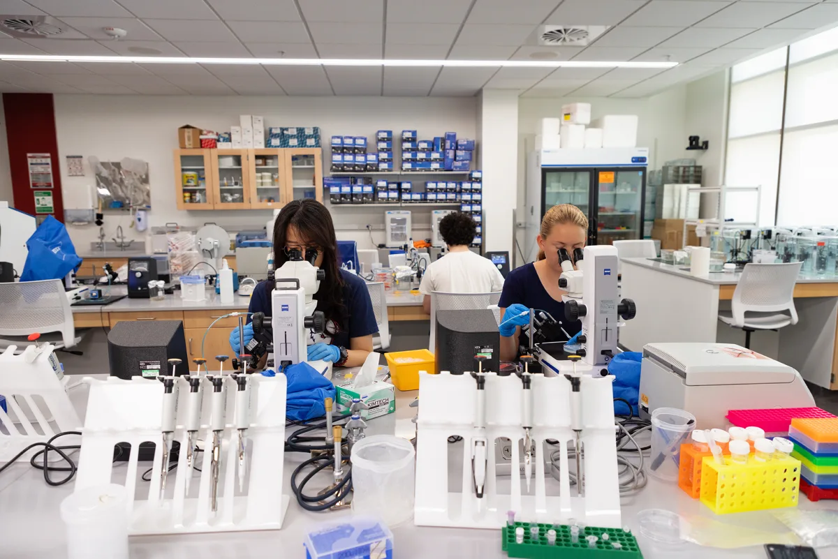 Students working at microscopes in a Utah Tech University biology lab